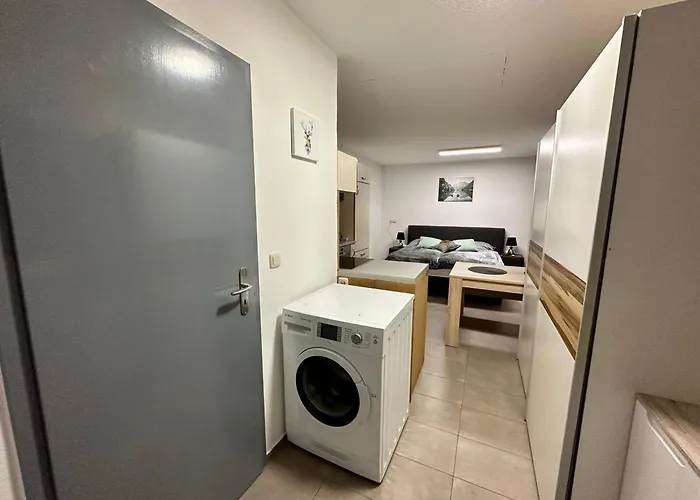 Tiny Greizer Str 26 رايشنباخ إم فوغتلاند