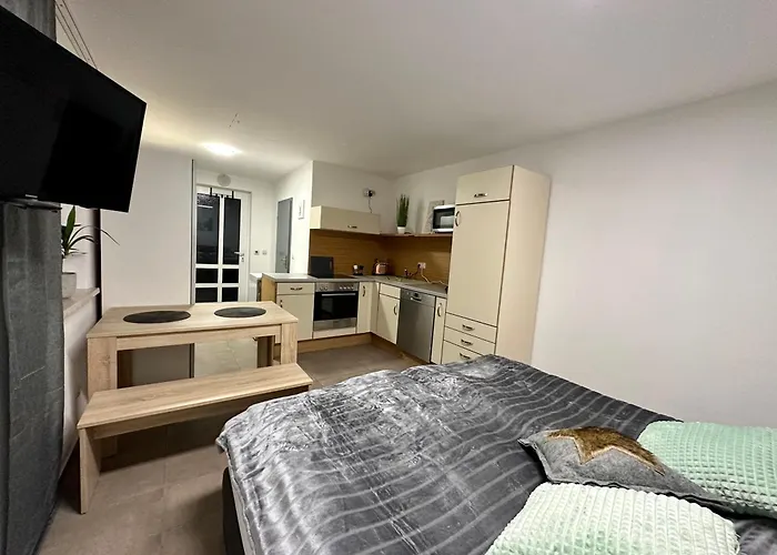 Tiny Greizer Str 26 * رايشنباخ إم فوغتلاند